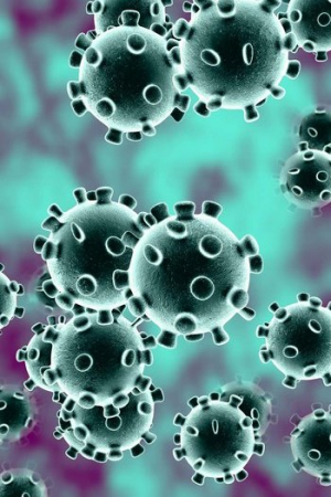 Coronavirus Coronavirus