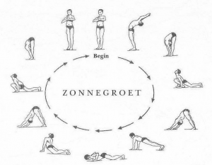 de zonnegroet