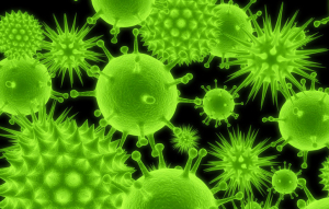 Corona virus Corona virus