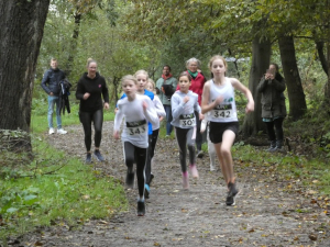 1e Vijfhoekparkloop